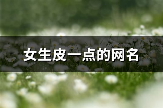 女生皮一点的网名(精选76个)