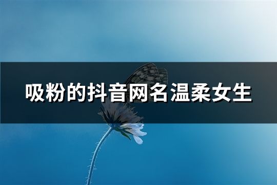 吸粉的抖音网名温柔女生(精选174个)