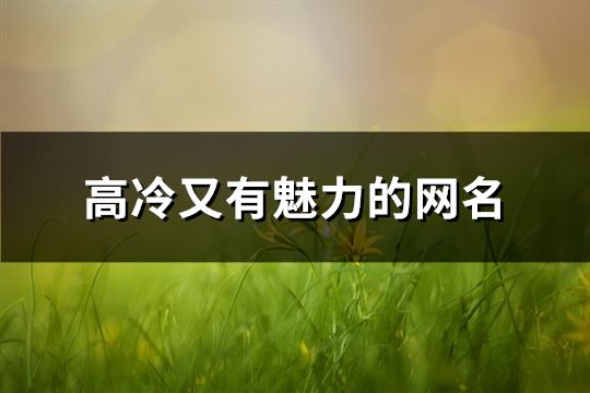 高冷又有魅力的网名(精选250个)