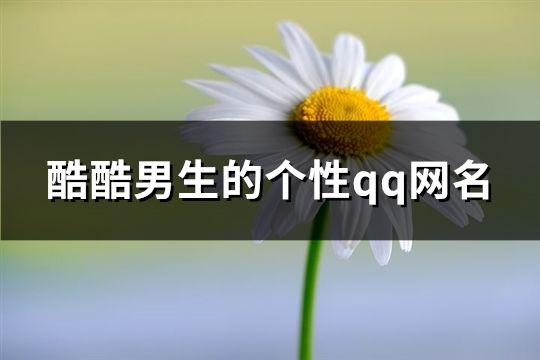 酷酷男生的个性qq网名(共104个)