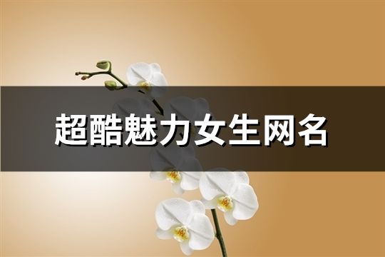 超酷魅力女生网名(165个)