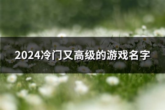 2024冷门又高级的游戏名字(284个)