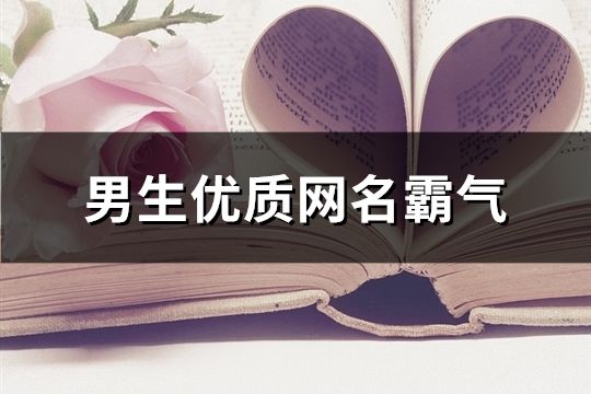 男生优质网名霸气(精选191个)