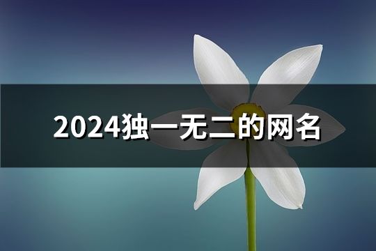 2024独一无二的网名(共241个)