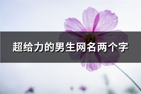 超给力的男生网名两个字(共177个)