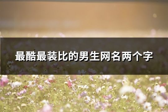 最酷最装比的男生网名两个字(94个)