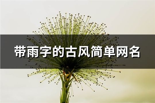 带雨字的古风简单网名(76个)