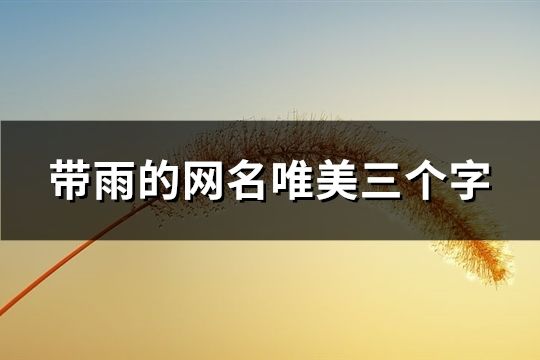 带雨的网名唯美三个字(67个)