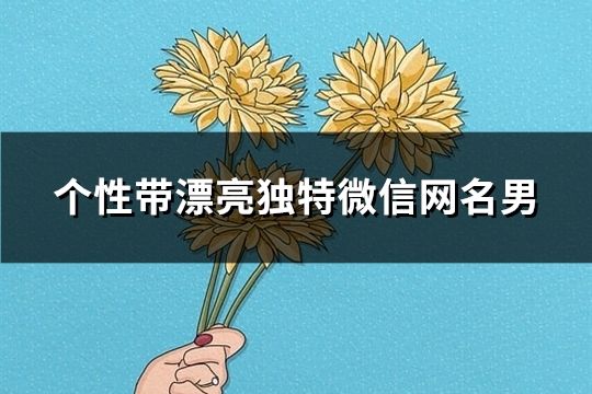 个性带漂亮独特微信网名男(共126个)