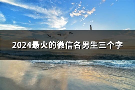 2024最火的微信名男生三个字(共177个)