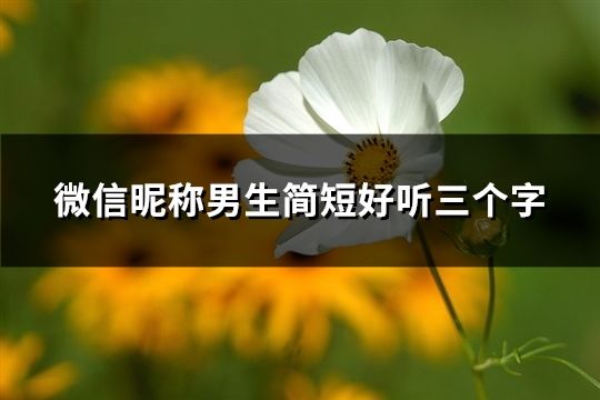 微信昵称男生简短好听三个字(共90个)