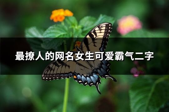 最撩人的网名女生可爱霸气二字(共62个)