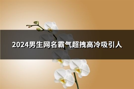 2024男生网名霸气超拽高冷吸引人(精选105个)