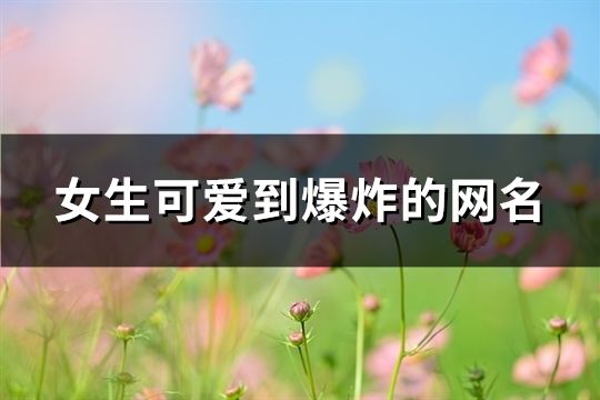 女生可爱到爆炸的网名(共175个)