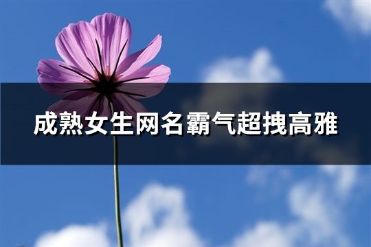 成熟女生网名霸气超拽高雅(精选62个)