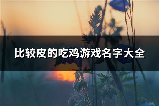 比较皮的吃鸡游戏名字大全(172个)