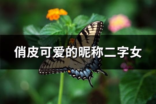 俏皮可爱的昵称二字女(精选91个)