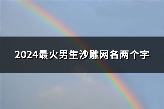 2024最火男生沙雕网名两个字(153个)