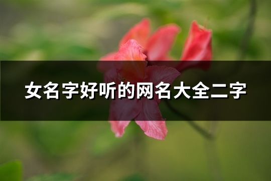 女名字好听的网名大全二字(共209个)