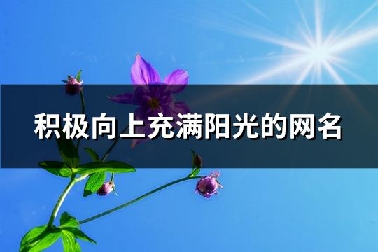 积极向上充满阳光的网名(共180个)