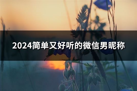 2024简单又好听的微信男昵称(142个)