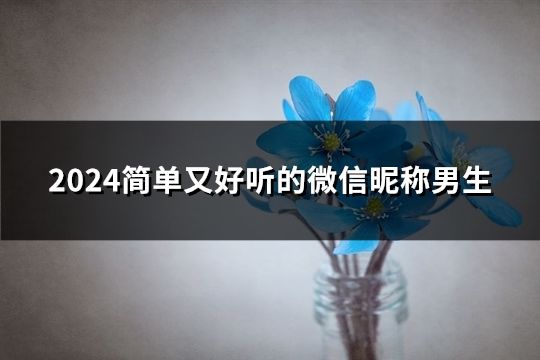 2024简单又好听的微信昵称男生(共197个)