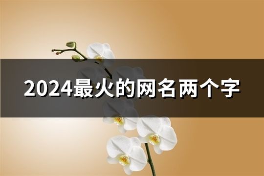 2024最火的网名两个字(共106个)