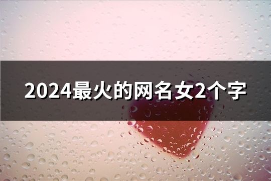 2024最火的网名女2个字(162个)