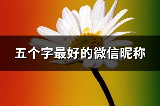 五个字最好的微信昵称(精选293个)