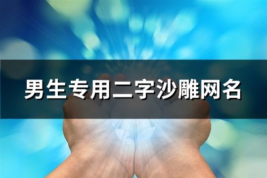 男生专用二字沙雕网名(169个)