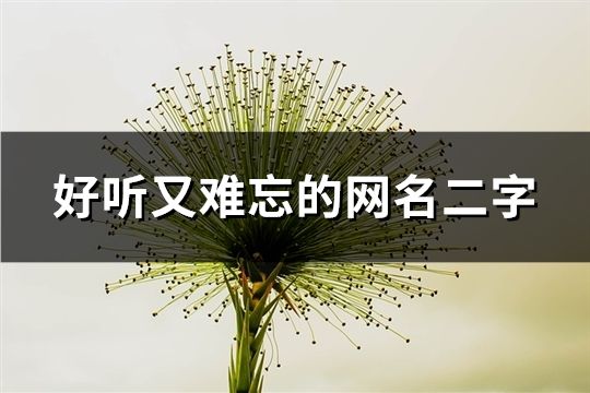 好听又难忘的网名二字(精选81个)