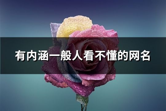 有内涵一般人看不懂的网名(共64个)