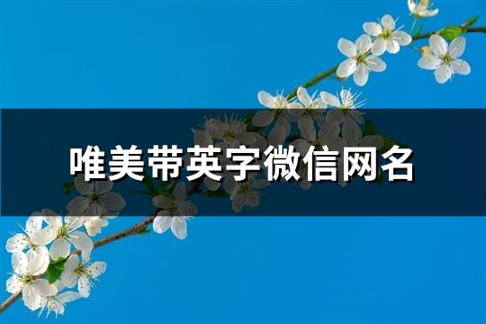 唯美带英字微信网名(精选113个)