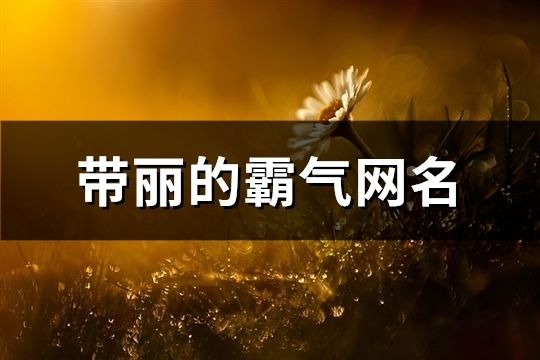 带丽的霸气网名(共145个)