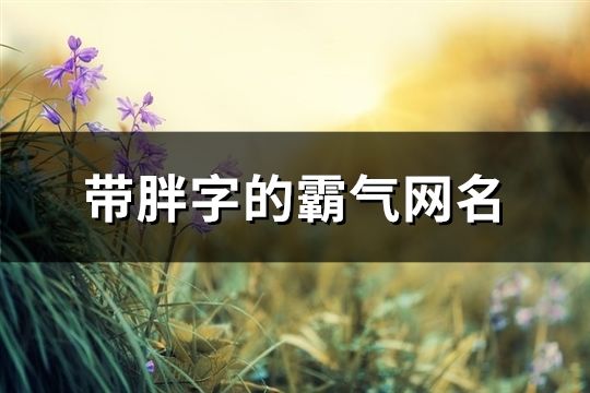 带胖字的霸气网名(73个)