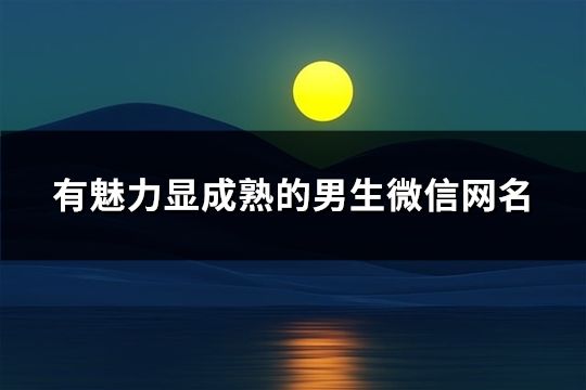 有魅力显成熟的男生微信网名(精选178个)