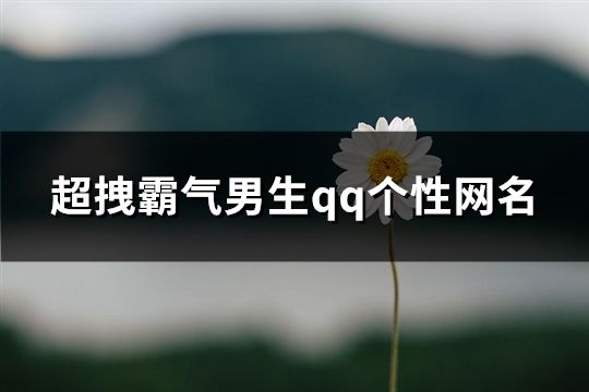 超拽霸气男生qq个性网名(共102个)