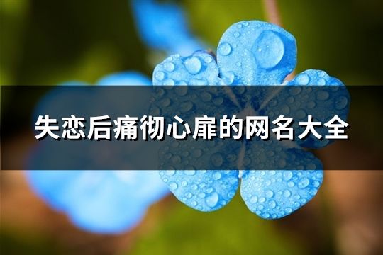 失恋后痛彻心扉的网名大全(80个)