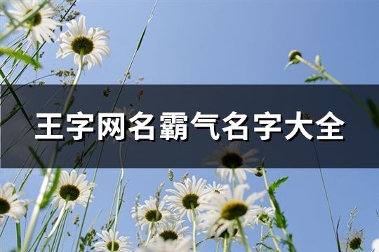 王字网名霸气名字大全(176个)