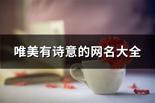 唯美有诗意的网名大全(186个)