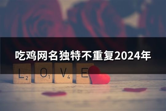 吃鸡网名独特不重复2024年(262个)