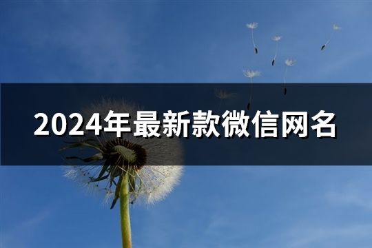 2024年最新款微信网名(88个)