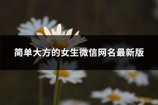 简单大方的女生微信网名最新版(精选257个)