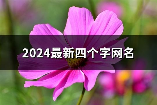 2024最新四个字网名(精选275个)