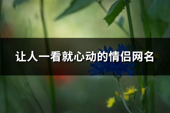 让人一看就心动的情侣网名(精选148个)