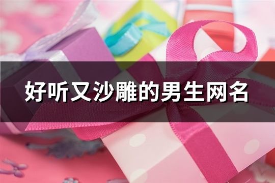 好听又沙雕的男生网名(精选193个)