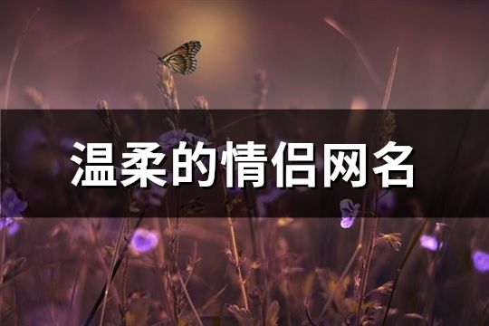 温柔的情侣网名(96个)