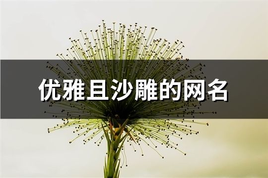 优雅且沙雕的网名(105个)