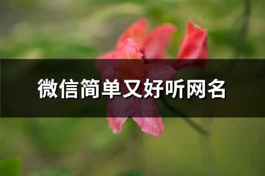 微信简单又好听网名(共74个)