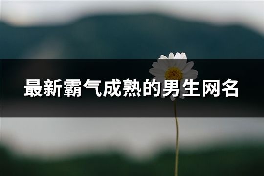 最新霸气成熟的男生网名(精选171个)